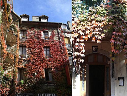 Hotel Central Annecy Eksteriør billede